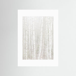 Änggårdsbergen i stillhet – Björkar i dubbelexponering | Fine Art Print