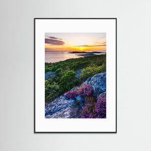 Halland – Särö Västerskog i solnedgång | Fine Art Print