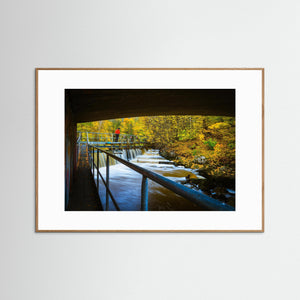 Höst vid Lärjeån i Göteborg – forsande vatten och höstfärger | Fine Art Print