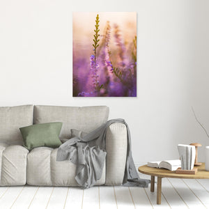Blommande ljung vid Stora Vette – Hisingen, Göteborg | Canvas