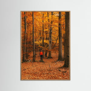Höstfärger i bokskog – Svejserdalen Mölndal | Fine Art Print
