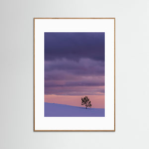 Ensamt träd i vinterfjäll – Grövelsjöfjällen i Dalarna | Fine Art Print