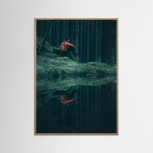 Herkulesskogen – Mystisk skog i Mölndal | Fine Art Print