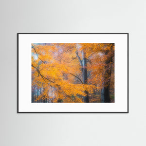 Gyllene höst i Svejserdalen