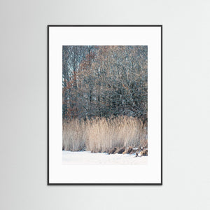 i vinterlandskap Stora Amundön Göteborg – Fotokonst | Fine Art Print
