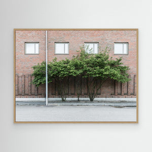 Grönt mot tegel - CANVAS