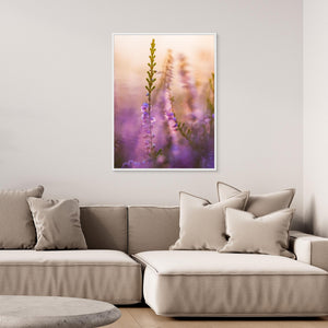 Blommande ljung vid Stora Vette – Hisingen, Göteborg | Canvas