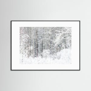 Snötäckt skog Änggårdsbergen Göteborg – Vinterlandskap | Fine Art Print