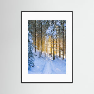 Vintervandring vid Helsjön – Marks kommun | Fine Art Print