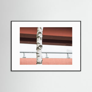Göteborg – björkstam framför Röde orm i Gamlestaden | Fine Art Print