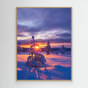 Vinterljus i Lofsdalsfjällen - CANVAS