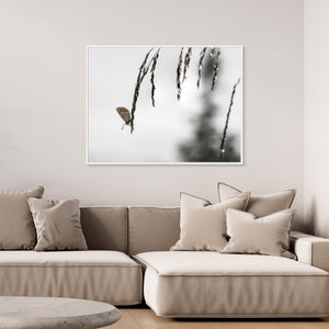 Fjäril på grässtrå vid Kvitåvatn – Telemark, Norge | Canvas
