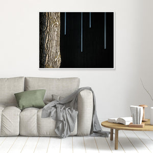 Ljus och struktur - CANVAS