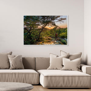 Solnedgång vid Ranebo naturskog – Svartedalen, Bohuslän | Canvas