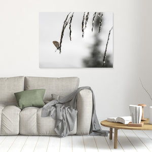 Fjäril på grässtrå vid Kvitåvatn – Telemark, Norge | Canvas