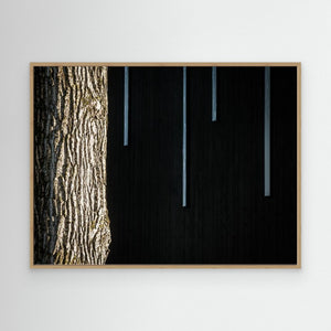 Ljus och struktur - CANVAS