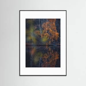 Höst vid Trinde mosse – Änggårdsbergen Göteborg | Fine Art Print