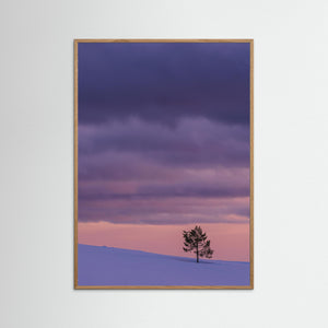 Ensamt träd i vinterfjäll – Grövelsjöfjällen i Dalarna | Fine Art Print