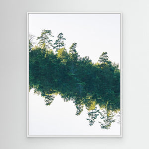 Svävande skog - CANVAS