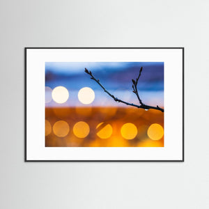Göteborg – vattendroppar på gren i kvällsljus | Fine Art Print