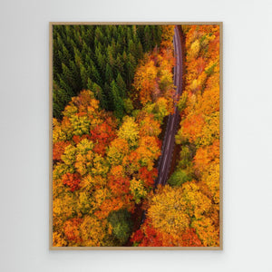 Höstens färgflod – Tostaredsvägen - CANVAS