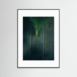 Ormbunke i Rya skog – Göteborg