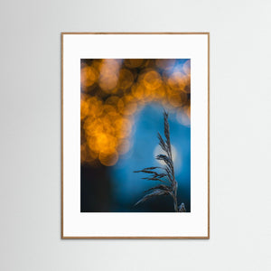 Vass & Ljus – Råda Säteri | Fine Art Print