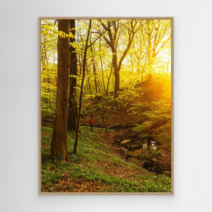 Kvällsljus i Svejserdalen - CANVAS