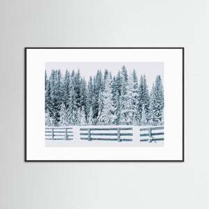 Snöfångare vid Lövåsen