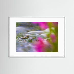Ljusnan i sommarfärger – Bruksvallarna, Härjedalen | Fine Art Print