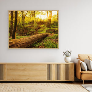 Vårglöd i Svejserdalen - CANVAS
