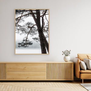 Tall vid Finnsjön i dimma – Mölnlycke, Härryda kommun | Canvas