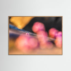 Blommande trift – Stora Amundön naturreservat, Göteborg | Fine Art Print