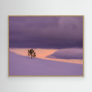 Vinterlandskap vid Långfjället – Grövelsjöfjällen | Canvas