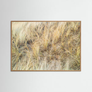Vesslunda Naturreservat Falkenberg – Sanddynor & Gräs | Fine Art Print