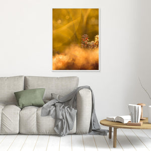 Frostglöd vid Haketjärnen - CANVAS