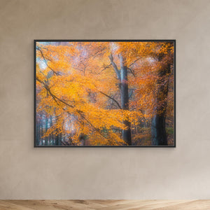 Gyllene höst i Svejserdalen - CANVAS