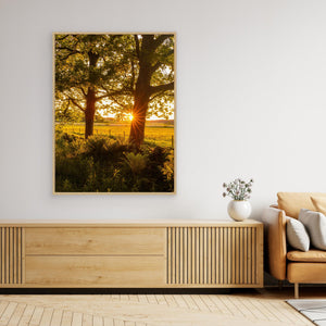 Solnedgång vid Hökälla naturreservat – Hisingen Göteborg | Canvas