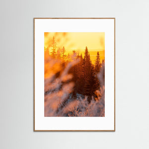 Lofsdalen – Gyllene morgonljus i Lofsdalsfjällen | Fine Art Print