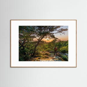 Solnedgång vid Ranebo naturskog – Svartedalen, Bohuslän | Fine Art Print 