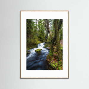 Vattenfall i Bråtaskogens naturreservat – Mölnlycke | Fine Art Print