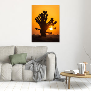 Soluppgång vid Stensjön – Hamlade lind i Mölndal | Canvas