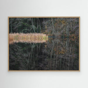 Novemberstillhet vid Kvarndammen - CANVAS