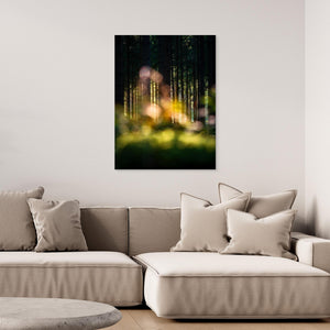Skogens hemliga ljus - CANVAS