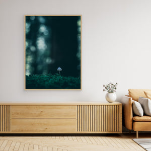 Liten svamp i mossan – Herkulesskogen i Mölndal | Canvas