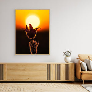Backsippa i solnedgång – Fjärås Bräcka naturreservat - CANVAS
