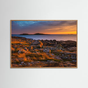 Sommarkväll vid Årnäsudden