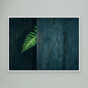 Grön envishet – Valderøy - CANVAS