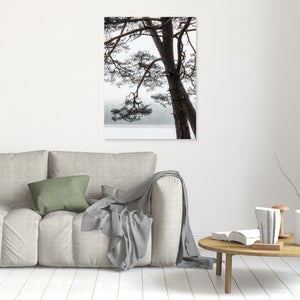 Tall vid Finnsjön i dimma – Mölnlycke, Härryda kommun | Canvas