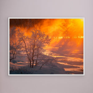 Grövlan i morgonljus - CANVAS